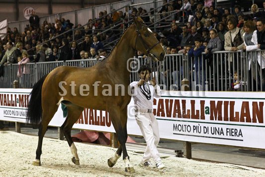 NADA BRAUN_MILANO_2010_SS3_1534.jpg